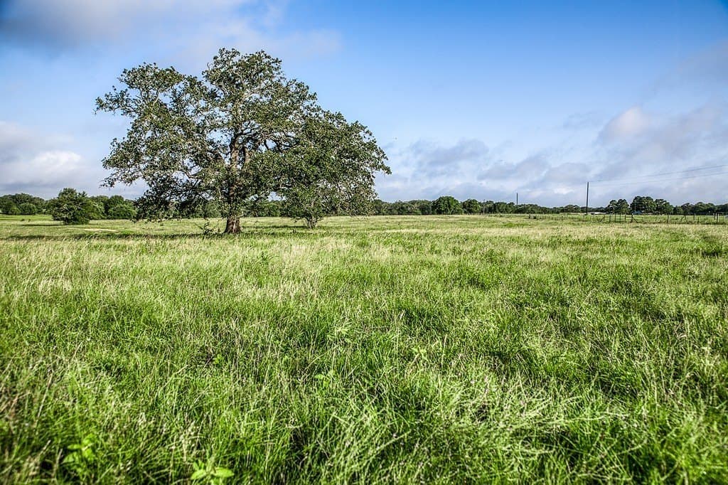 16.8 acres in Fayette County gallery image 4