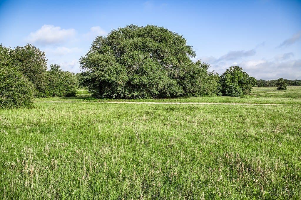 16.8 acres in Fayette County - photo 6