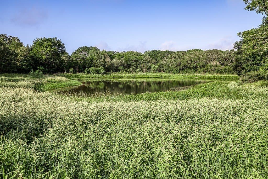 16.8 acres in Fayette County featured view