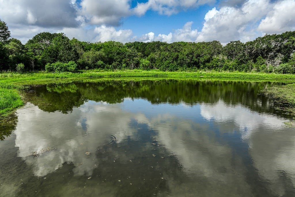 16.8 acres in Fayette County gallery image 2