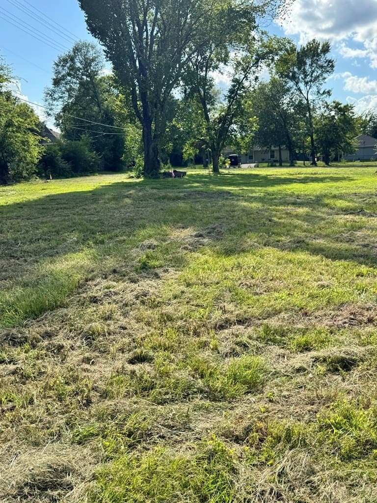 1.33 acres in Texas County gallery image 3