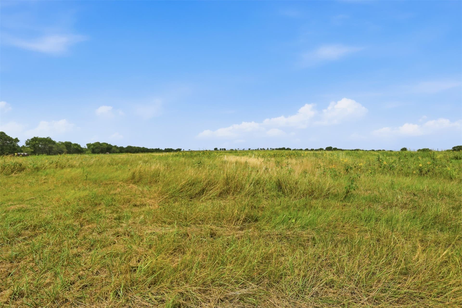 22.34 acres in Johnson County featured view