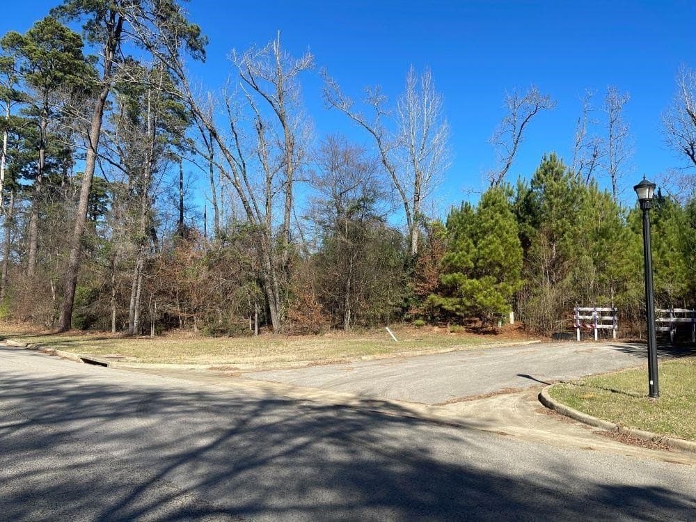 0.19 acres in Gregg County - photo 4