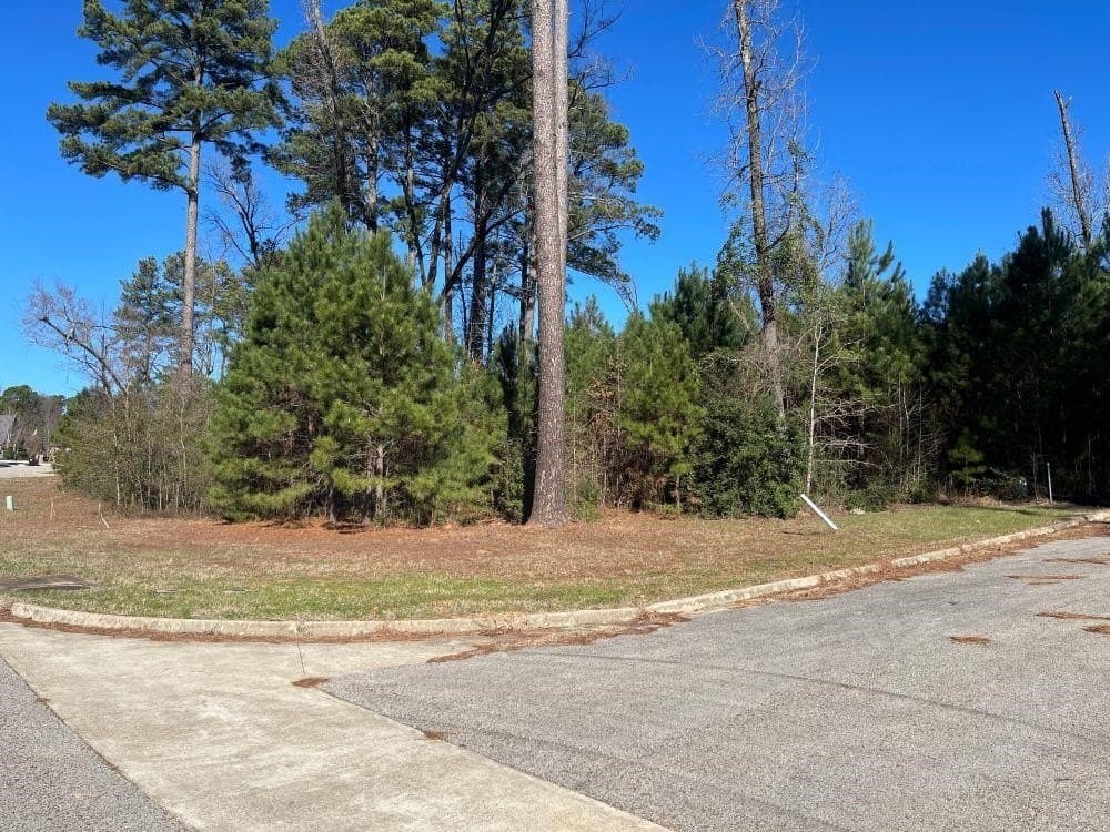 0.19 acres in Gregg County - photo 5