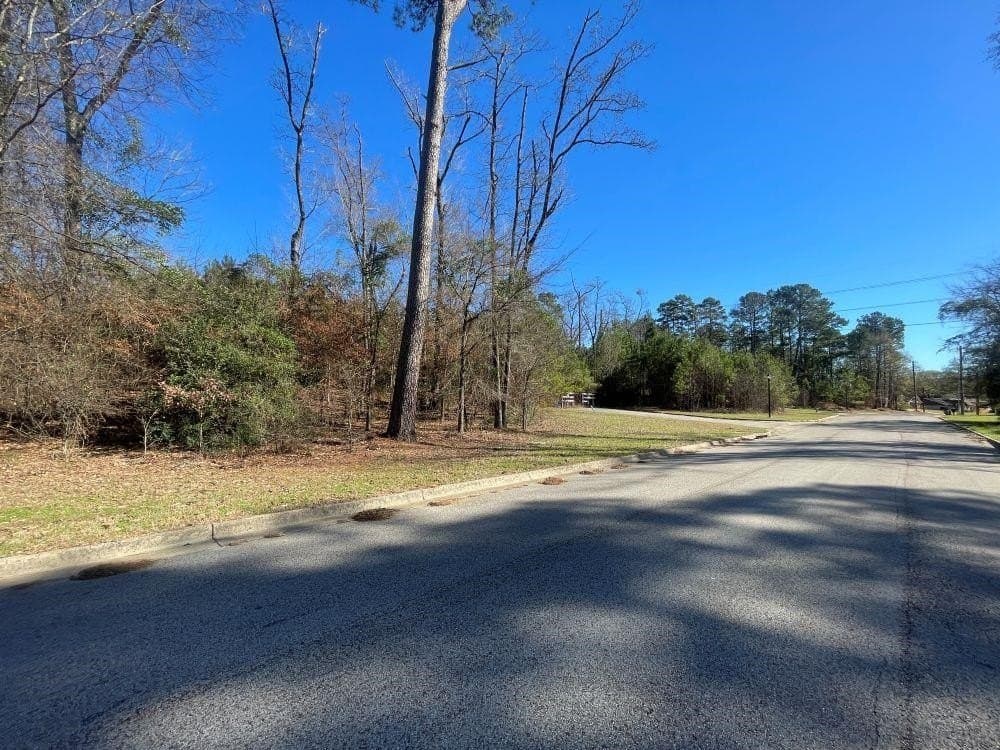 0.19 acres in Gregg County - photo 3