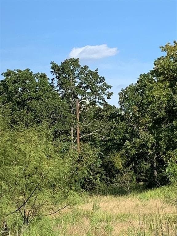 18.55 acres in Wise County featured view