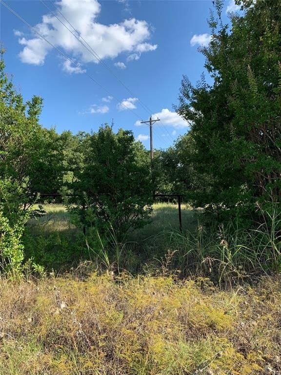 18.55 acres in Wise County gallery image 3