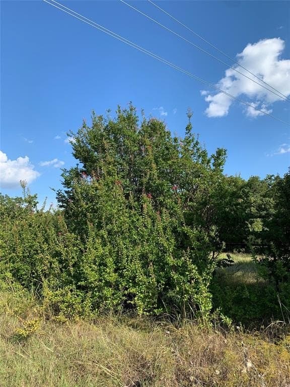 18.55 acres in Wise County gallery image 4