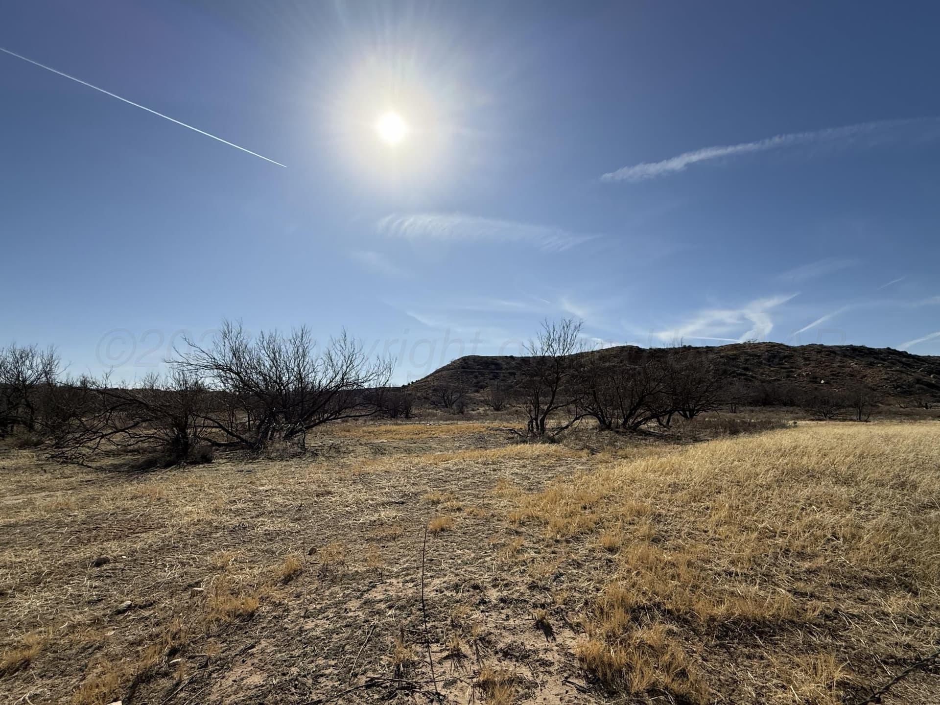 67.37 acres in Hutchinson County gallery image 3