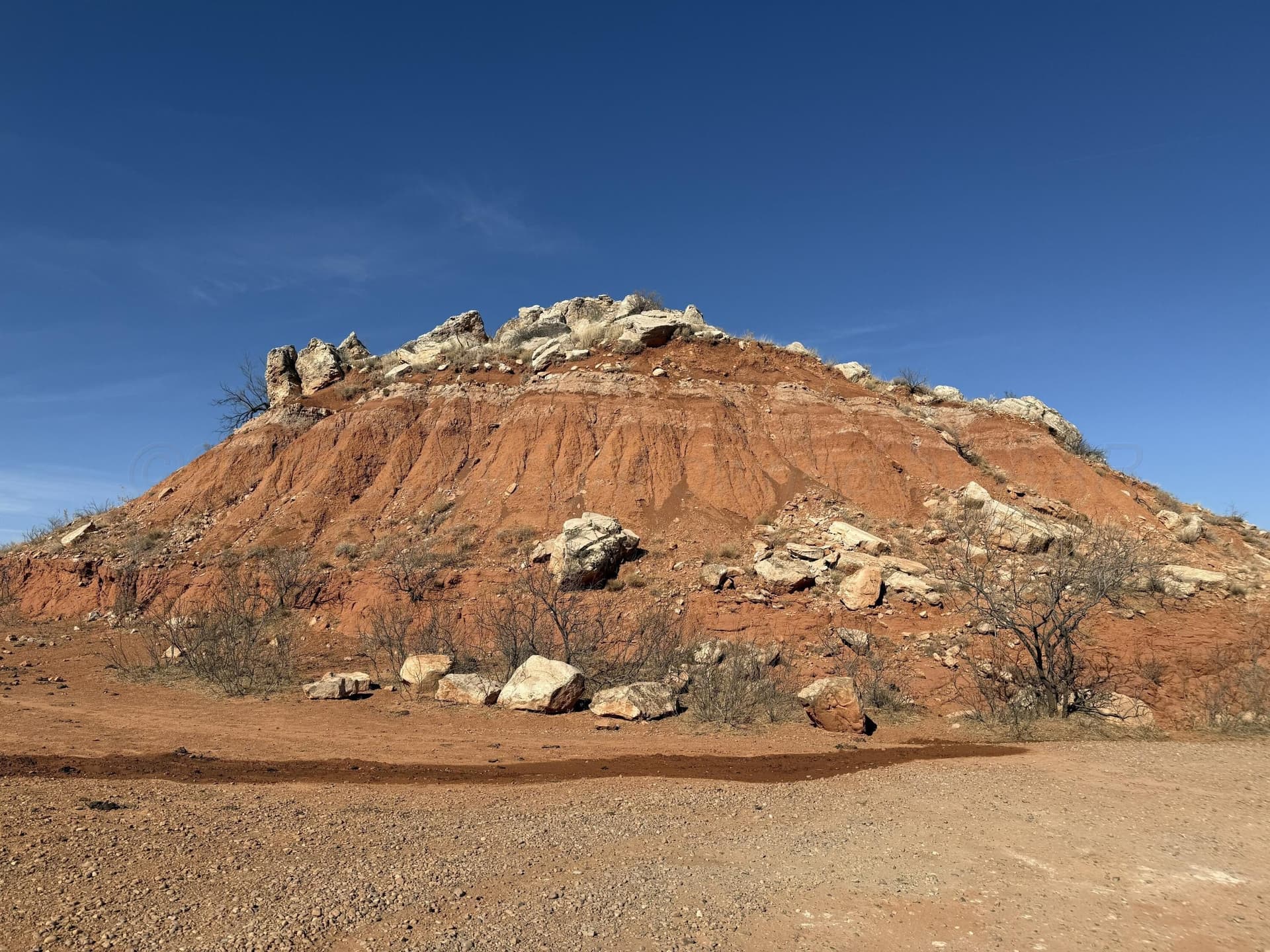 67.37 acres in Hutchinson County gallery image 4