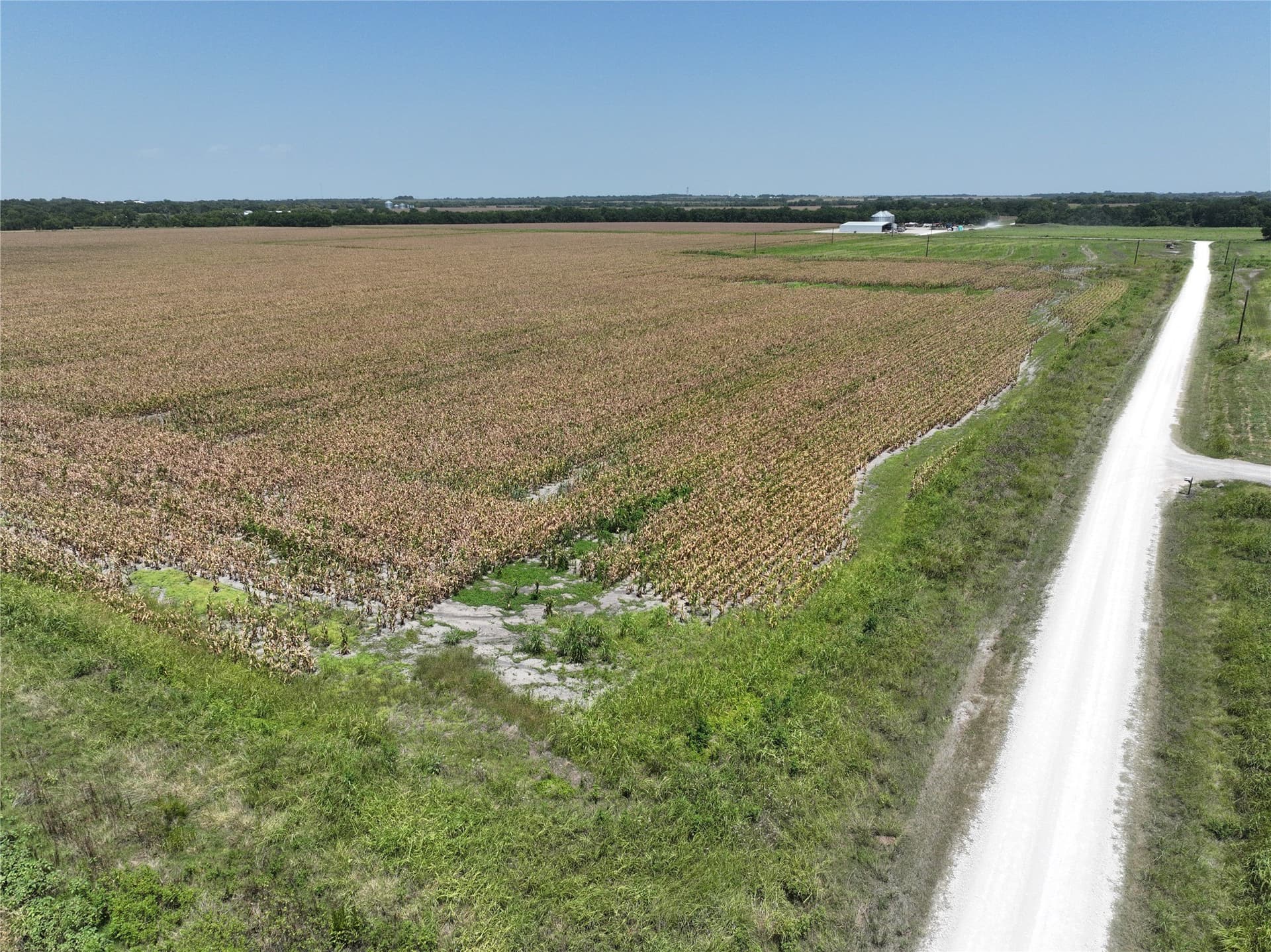 96.98 acres in Lamar County gallery image 4