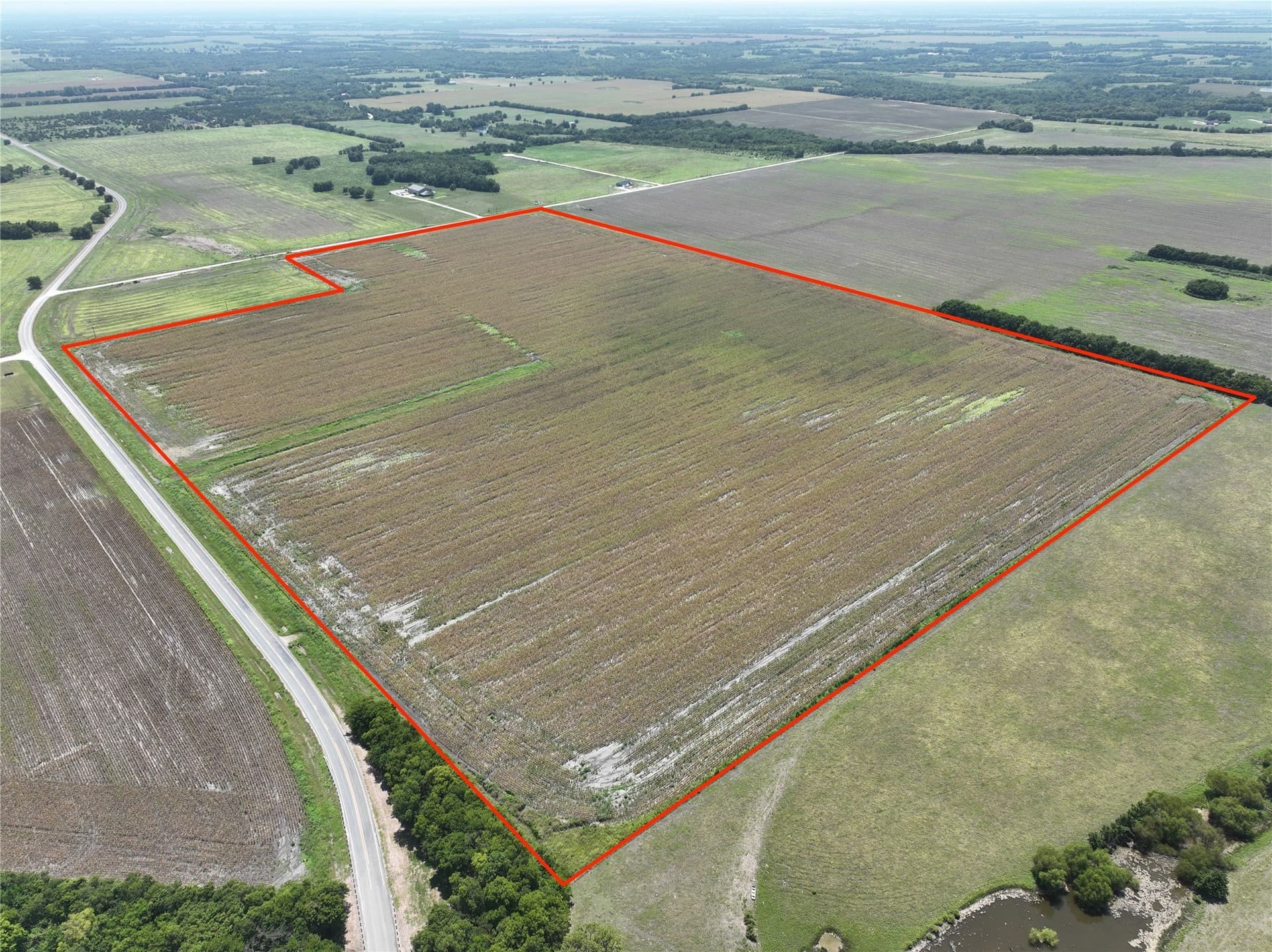 96.98 acres in Lamar County gallery image 2
