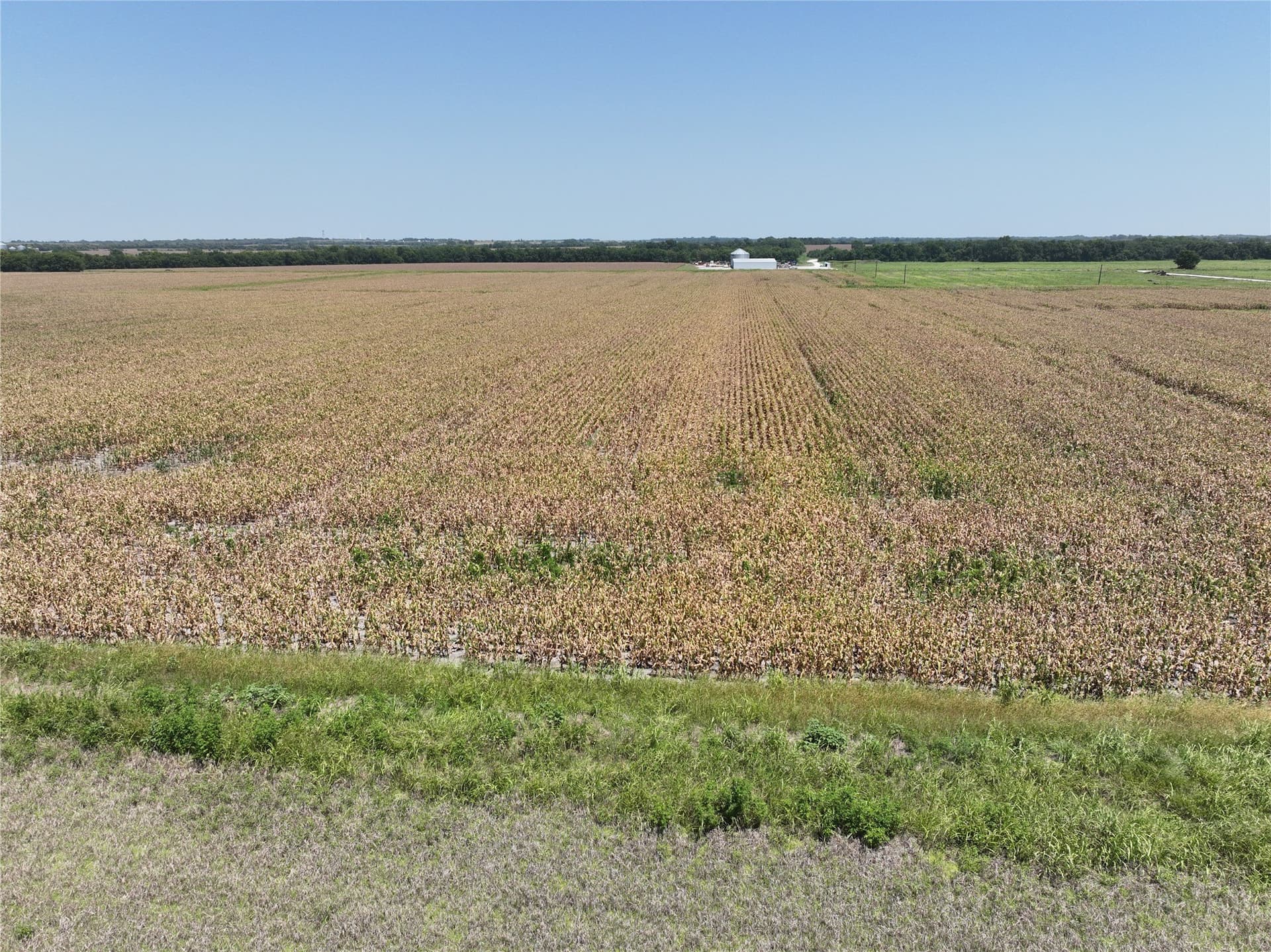96.98 acres in Lamar County featured view