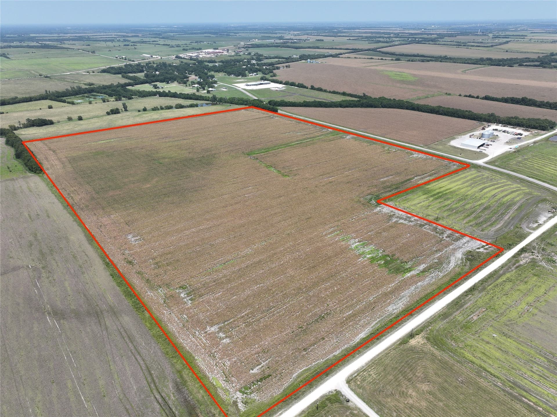 96.98 acres in Lamar County gallery image 3