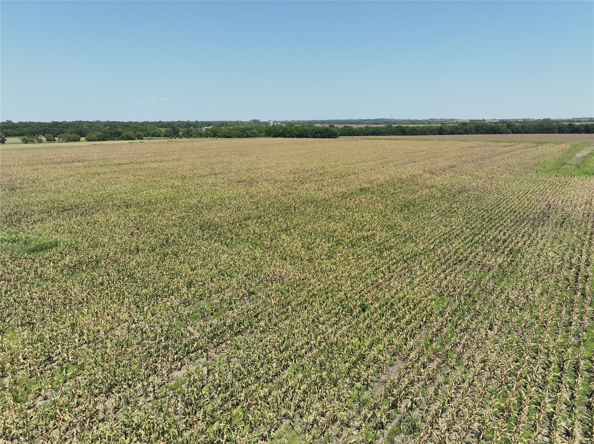 96.98 acres in Lamar County - photo 7