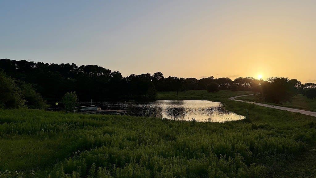 108 acres in Austin County - photo 29