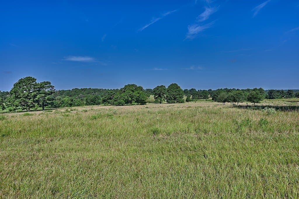 108 acres in Austin County - photo 26