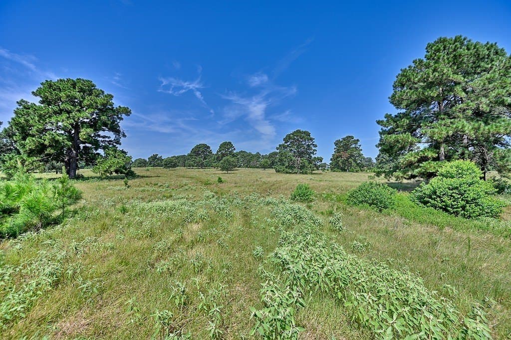 108 acres in Austin County - photo 24