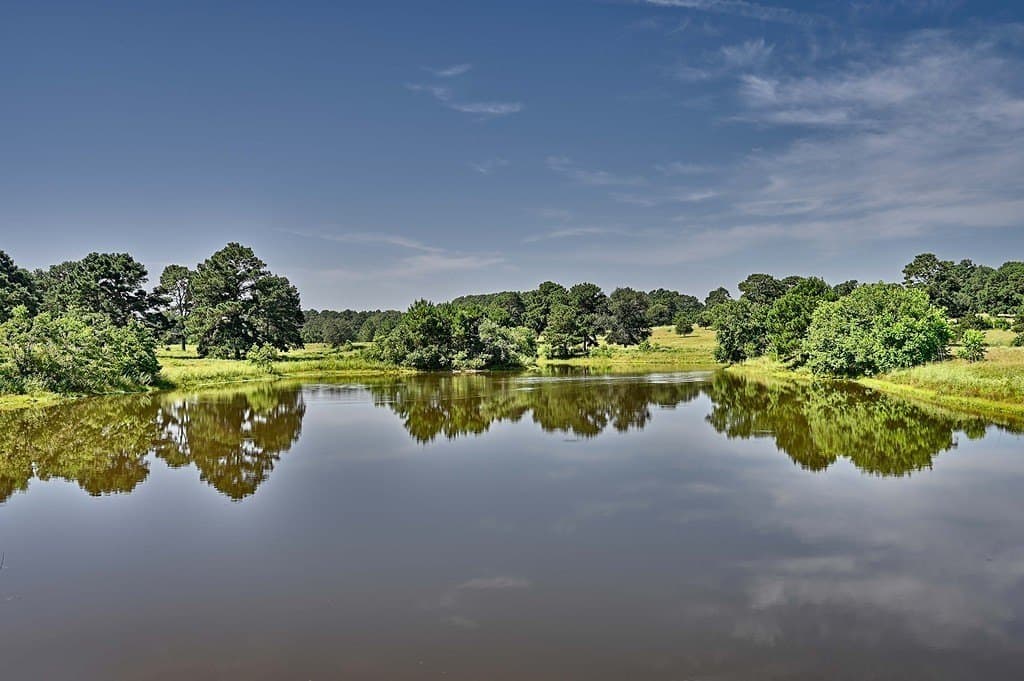 108 acres in Austin County - photo 22