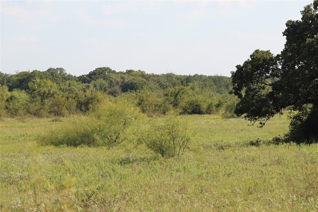 59.84 acres in Wise County gallery image 4