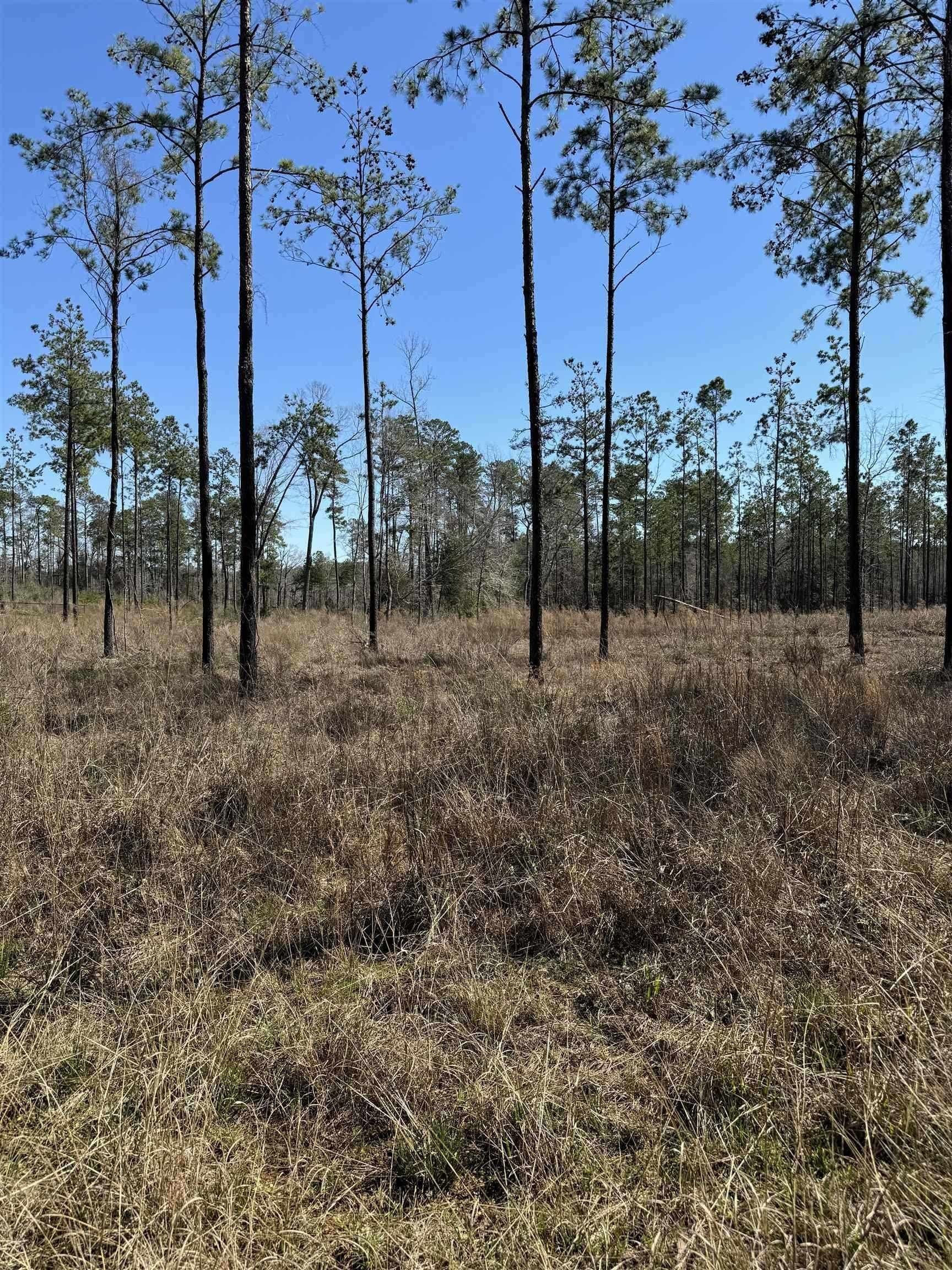 1 acres in Texas County - photo 10