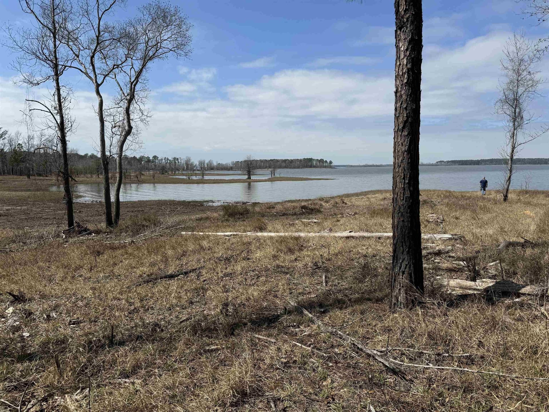 1 acres in Texas County - photo 7