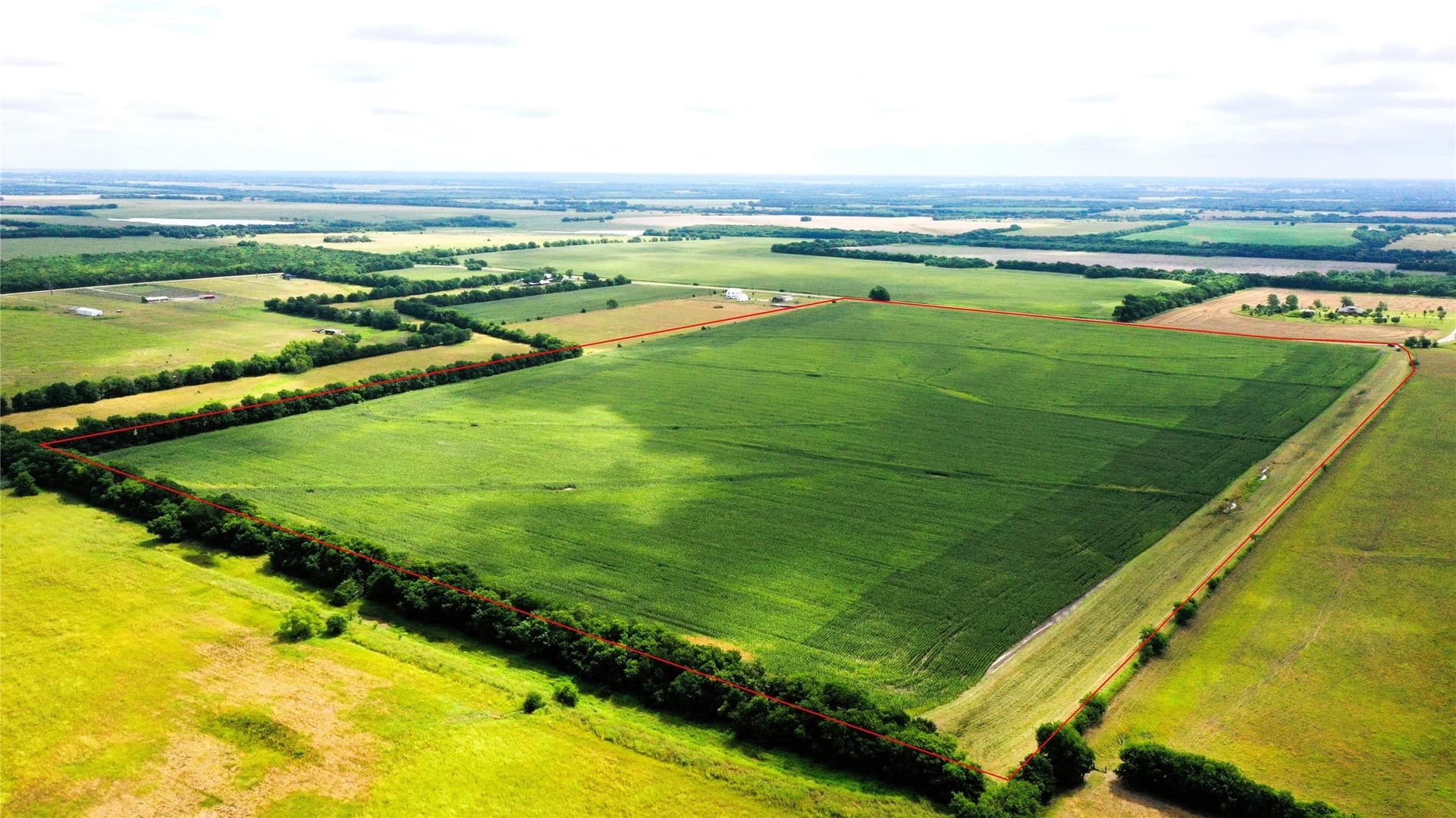 77.17 acres in Fannin County gallery image 3
