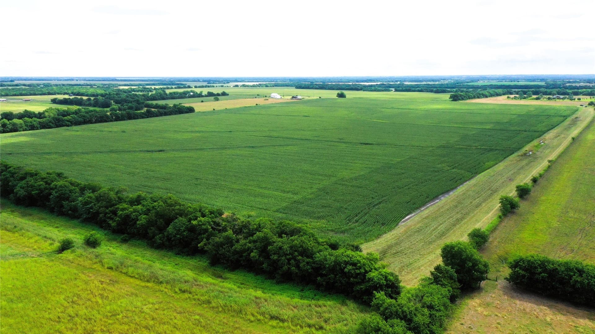 77.17 acres in Fannin County - photo 6