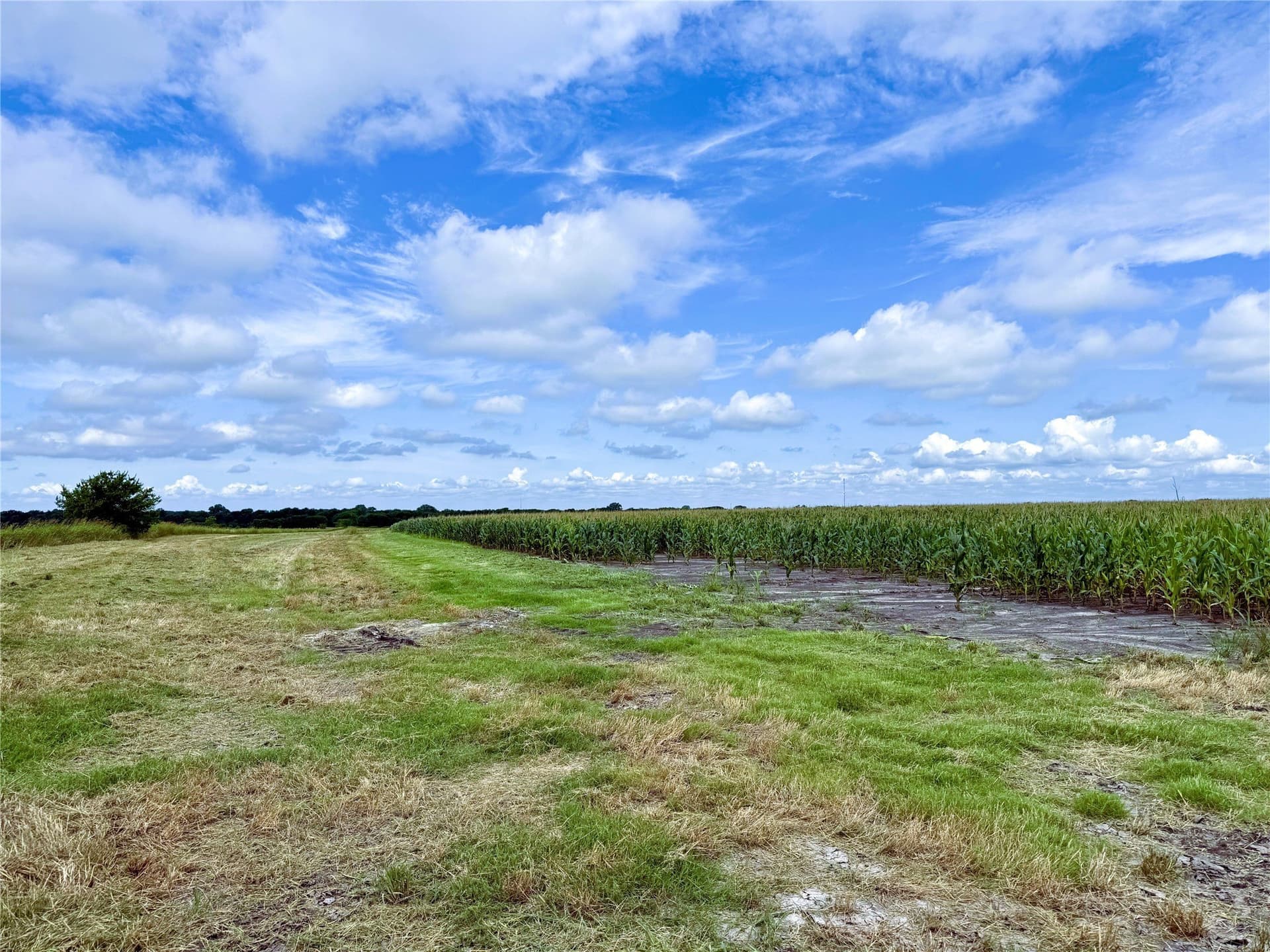77.17 acres in Fannin County - photo 13