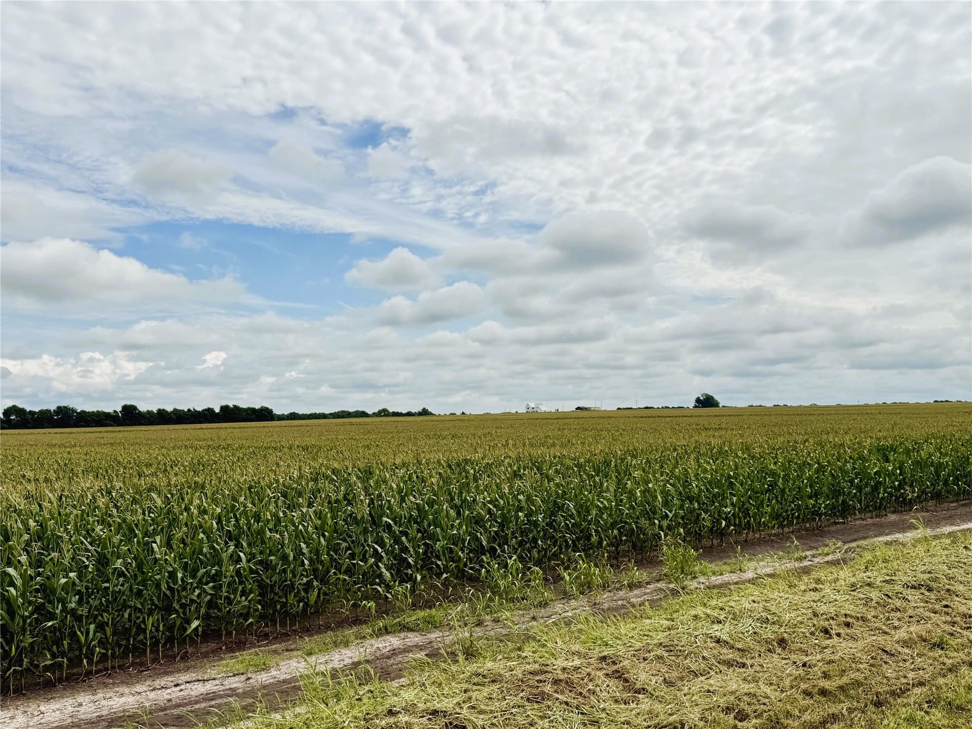 77.17 acres in Fannin County - photo 16