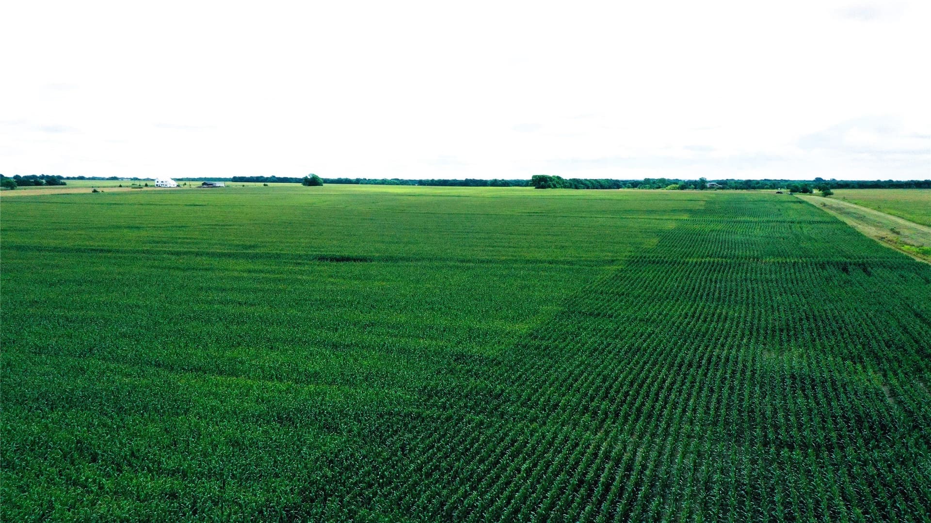 77.17 acres in Fannin County - photo 7
