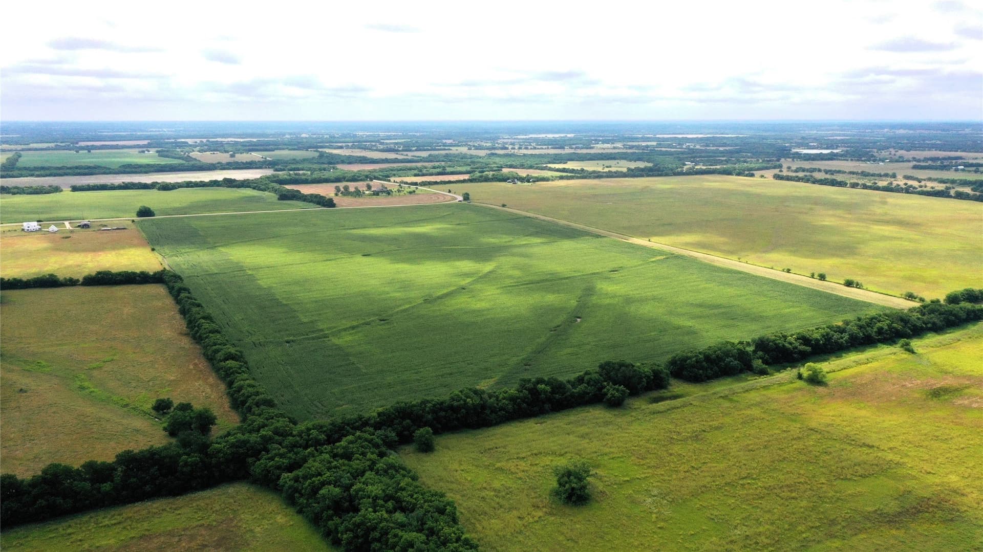 77.17 acres in Fannin County gallery image 4