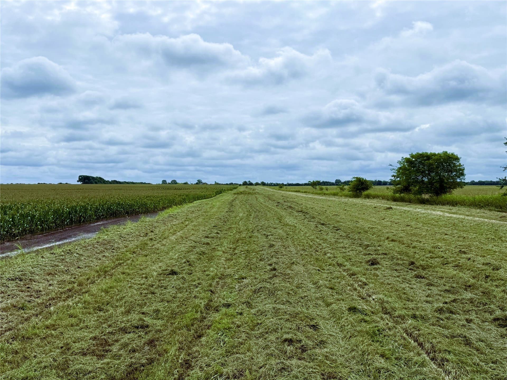 77.17 acres in Fannin County - photo 17