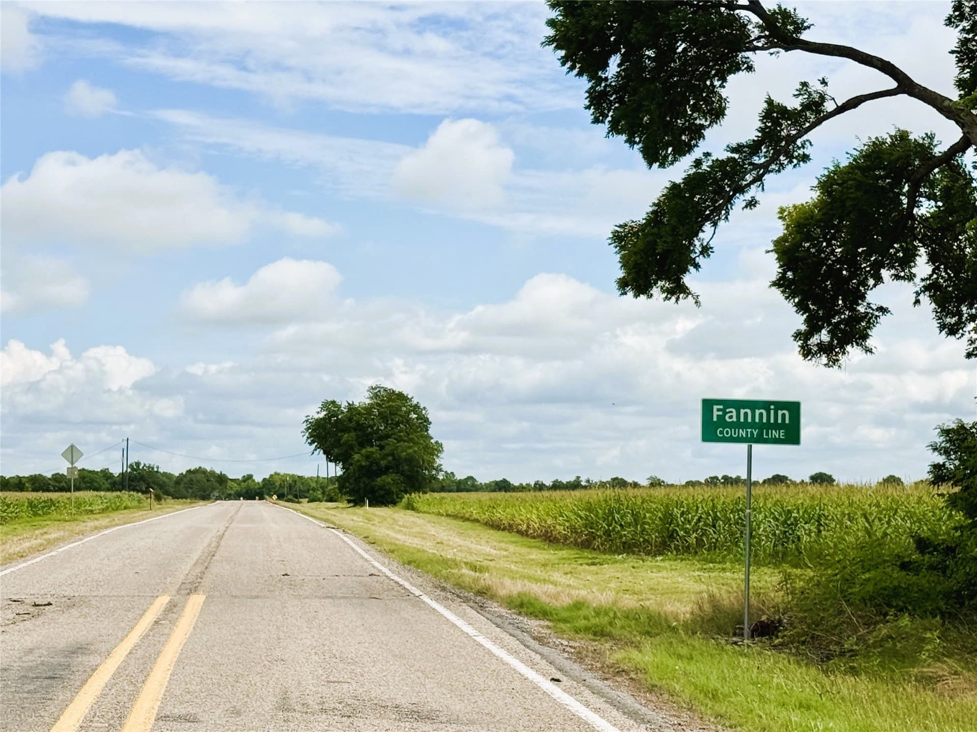 77.17 acres in Fannin County - photo 22