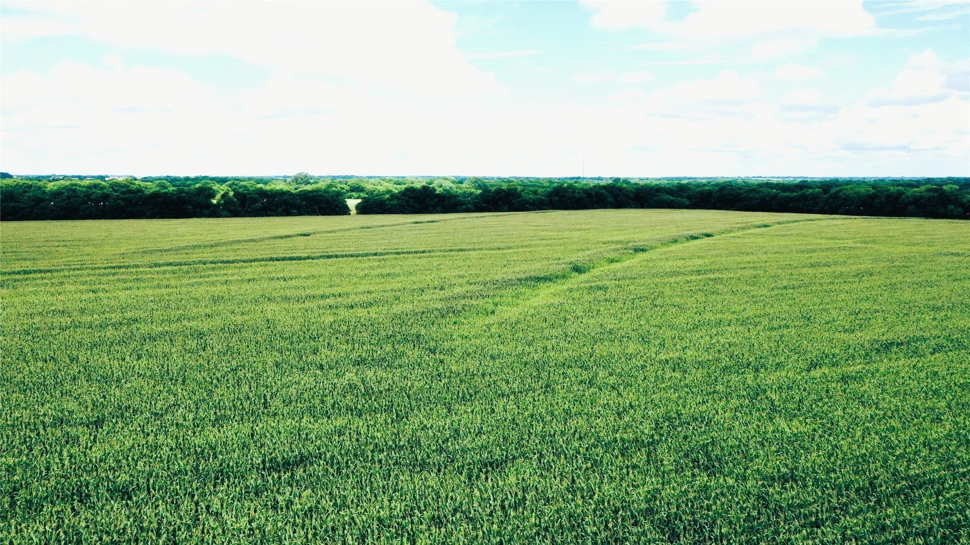 77.17 acres in Fannin County - photo 9