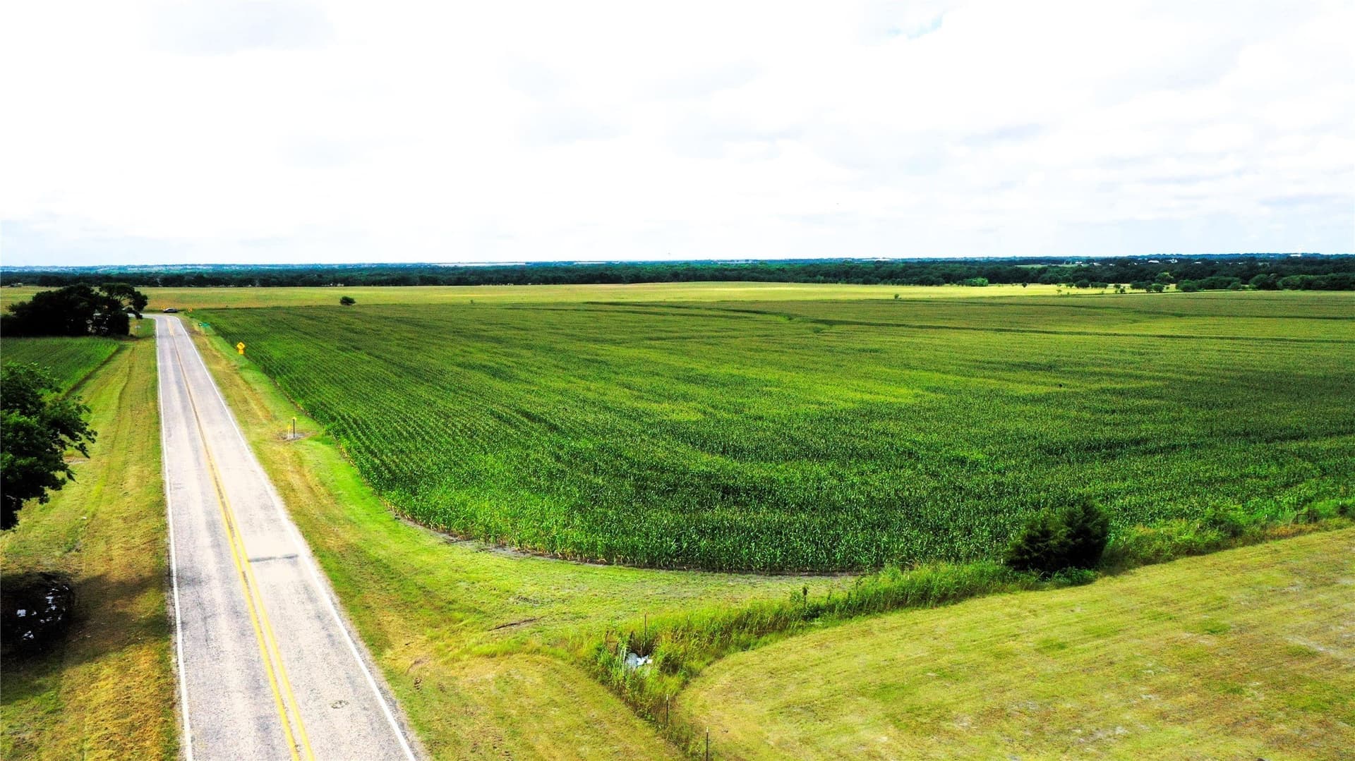 77.17 acres in Fannin County - photo 11