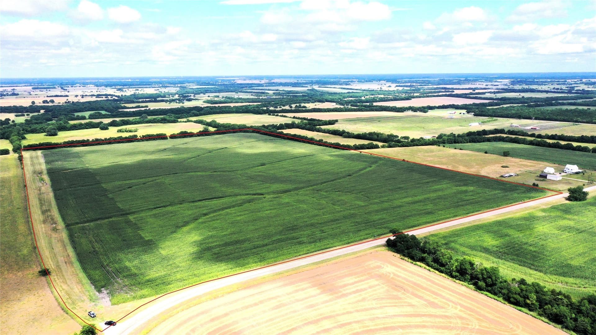 77.17 acres in Fannin County