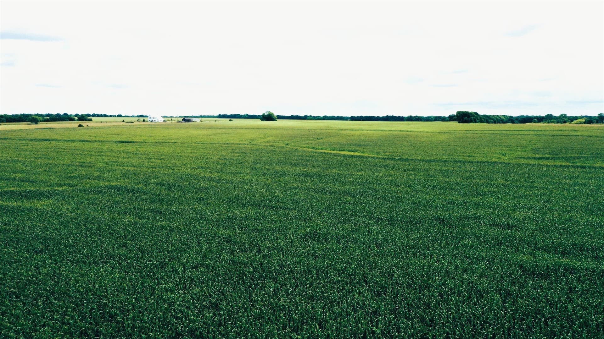 77.17 acres in Fannin County - photo 8