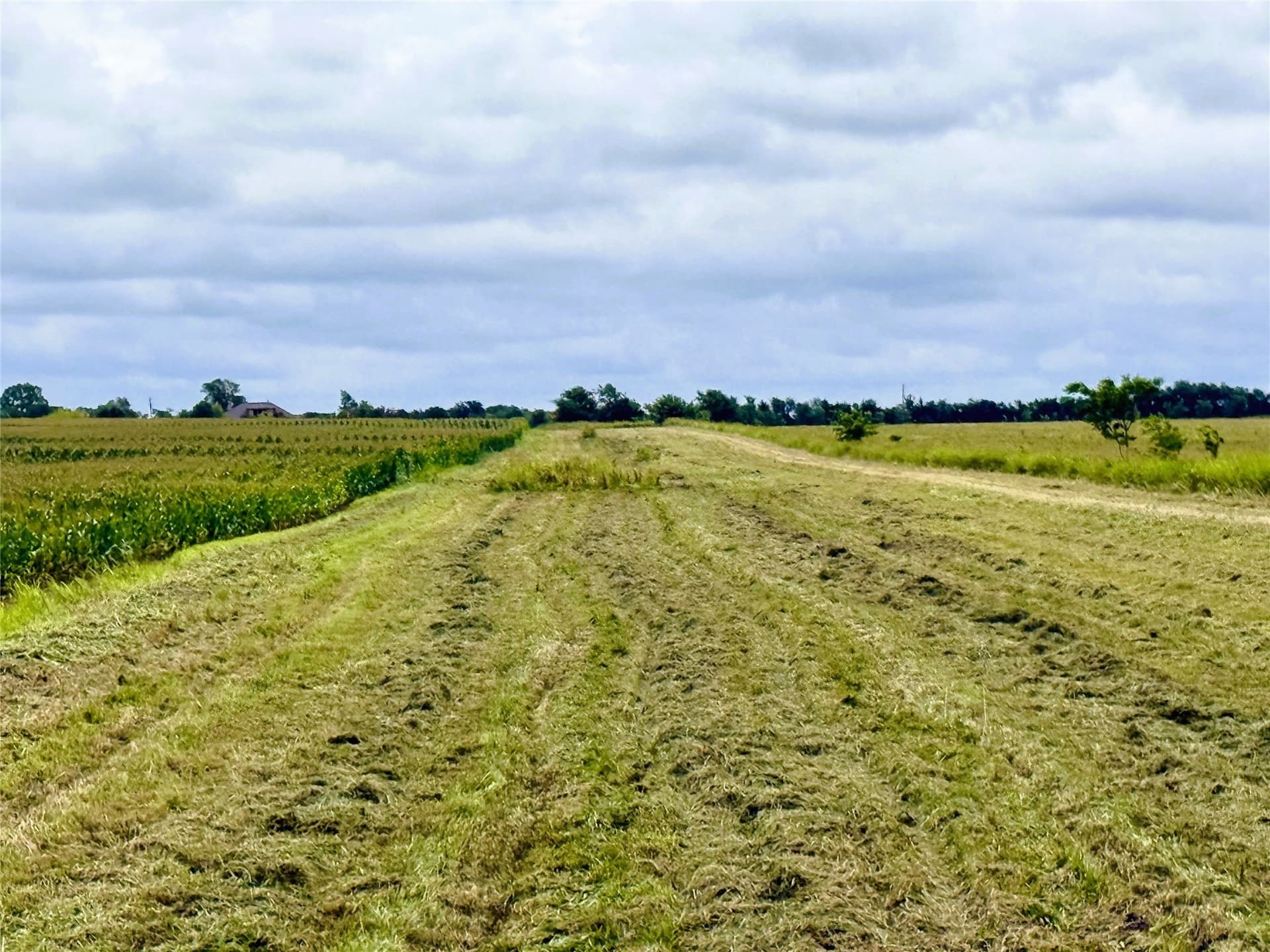 77.17 acres in Fannin County - photo 18