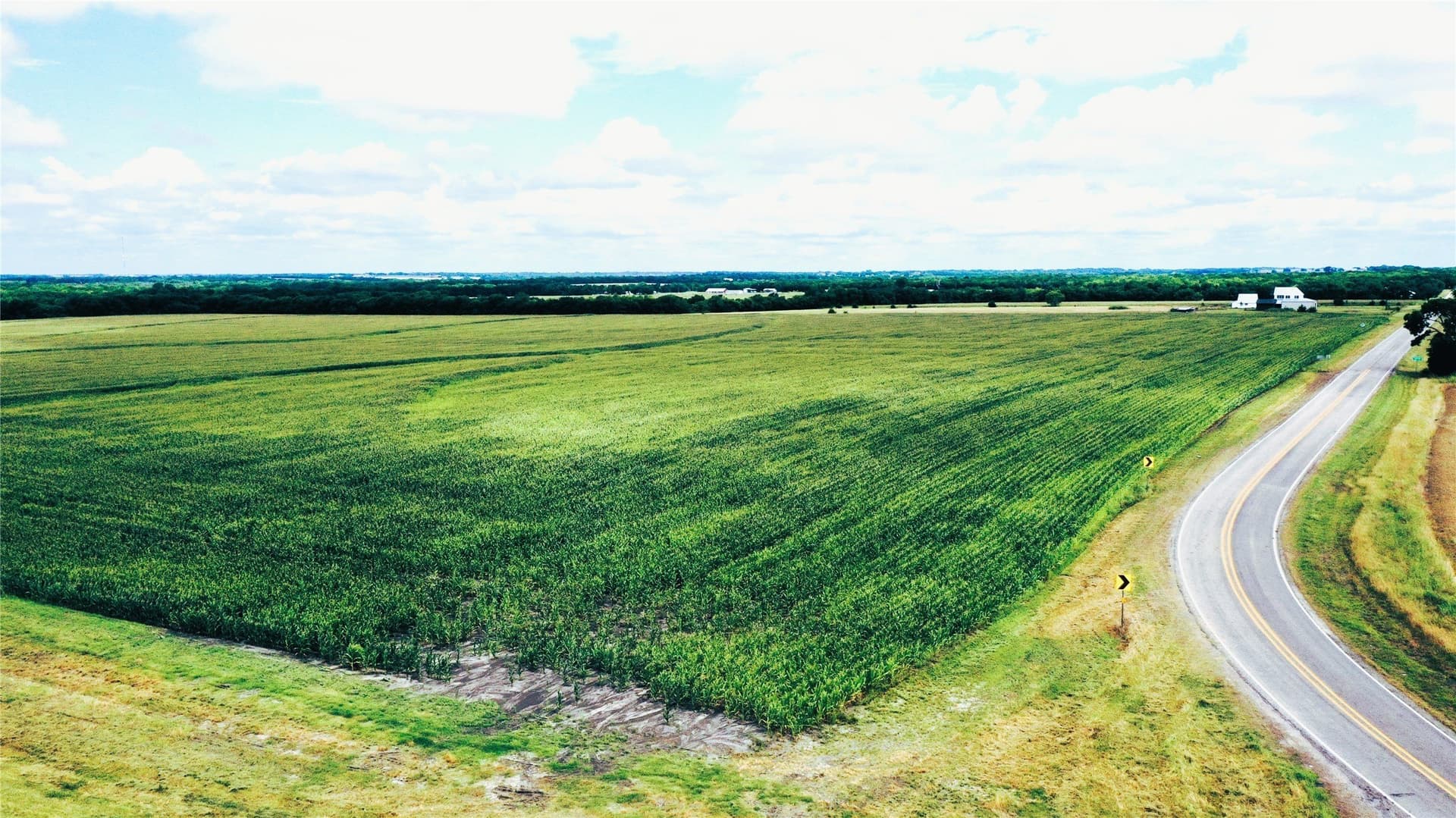 77.17 acres in Fannin County - photo 12