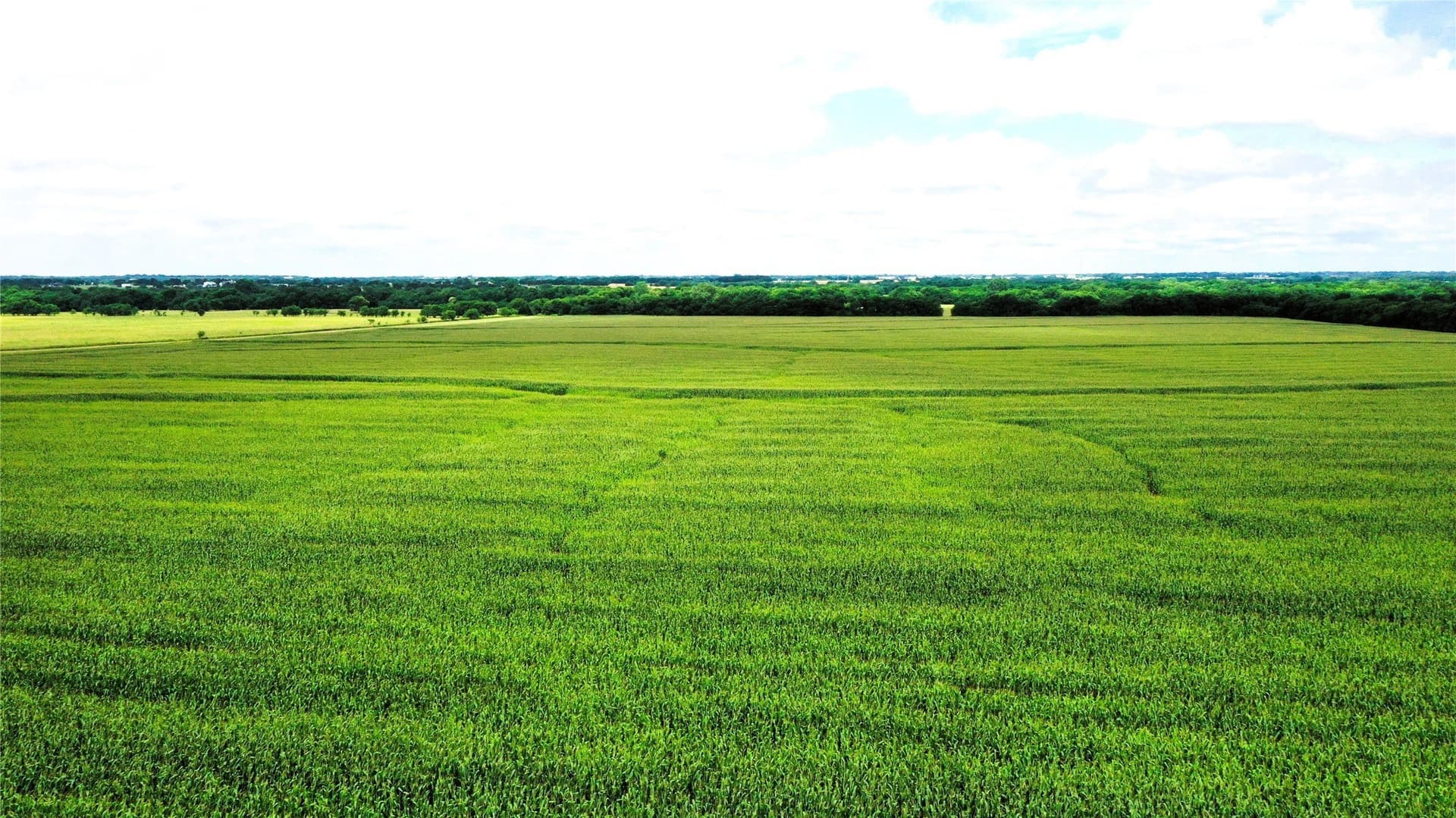 77.17 acres in Fannin County - photo 10