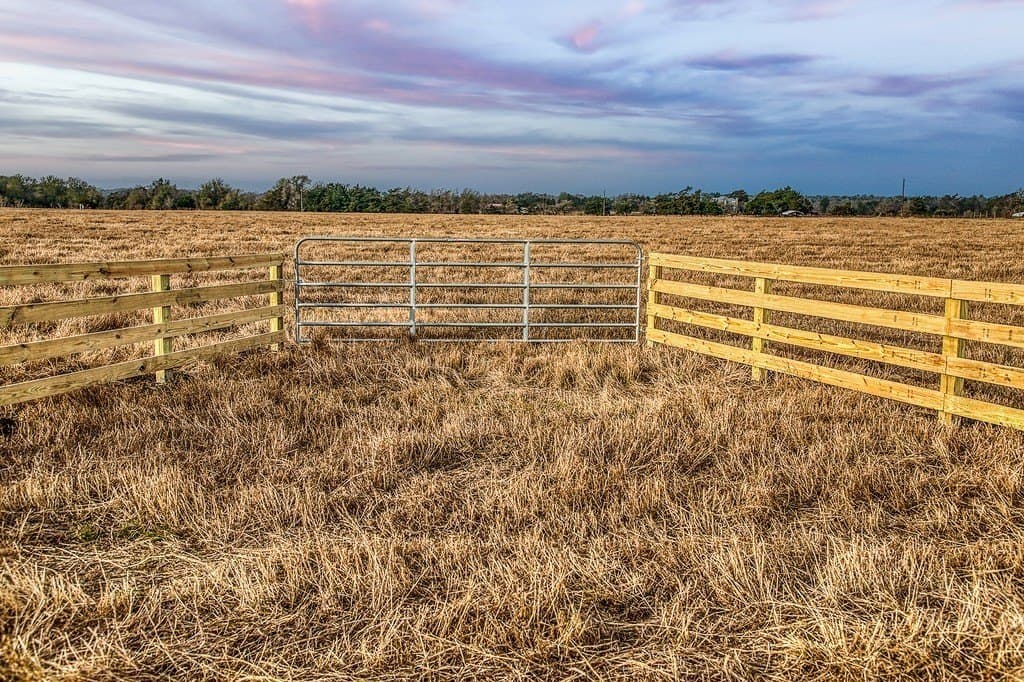 37 acres in Burleson County gallery image 3