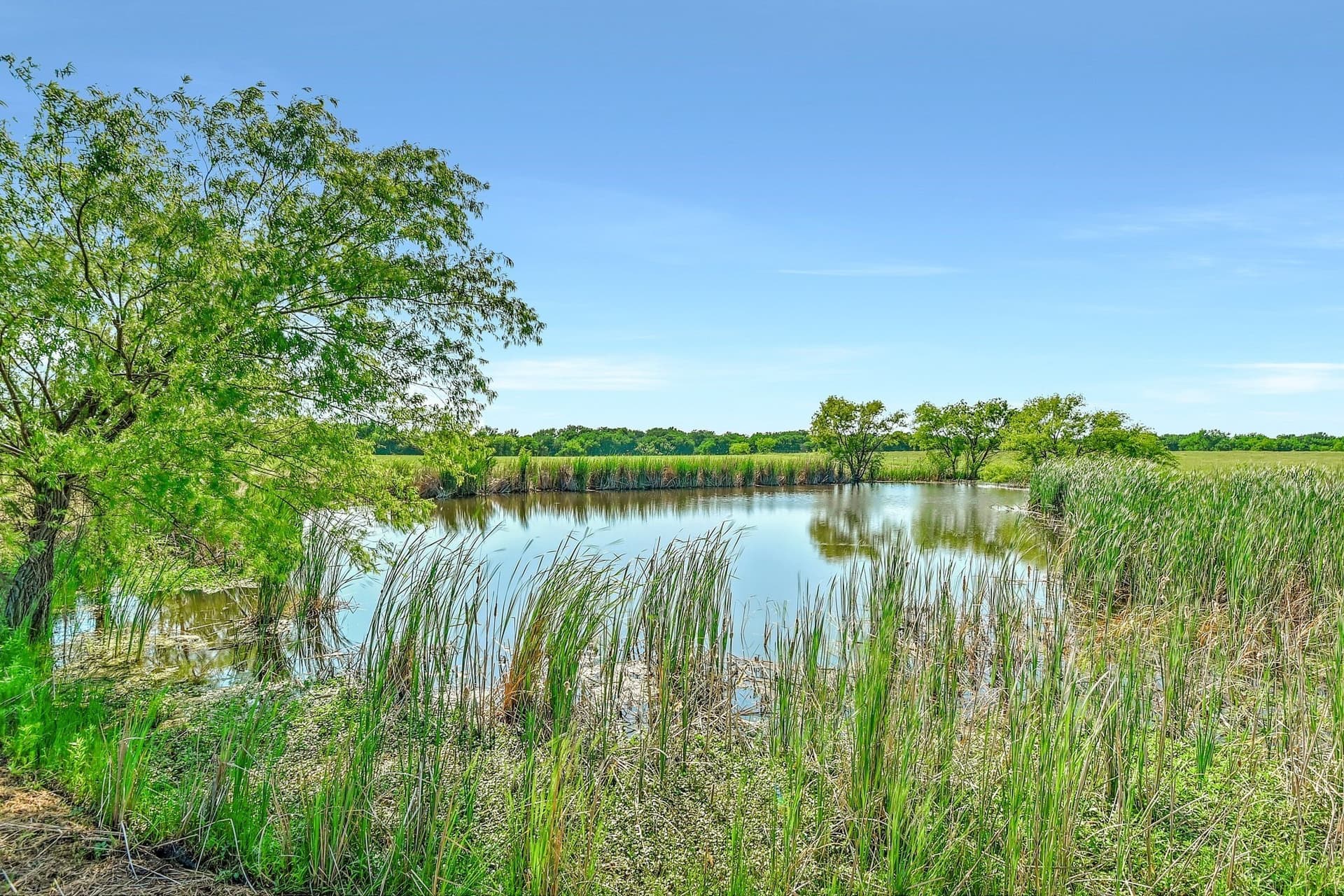 38.11 acres in Grayson County - photo 22