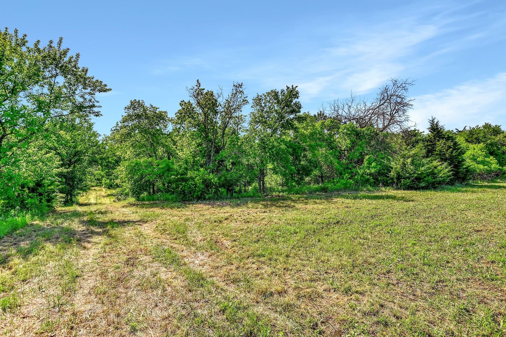 38.11 acres in Grayson County - photo 8
