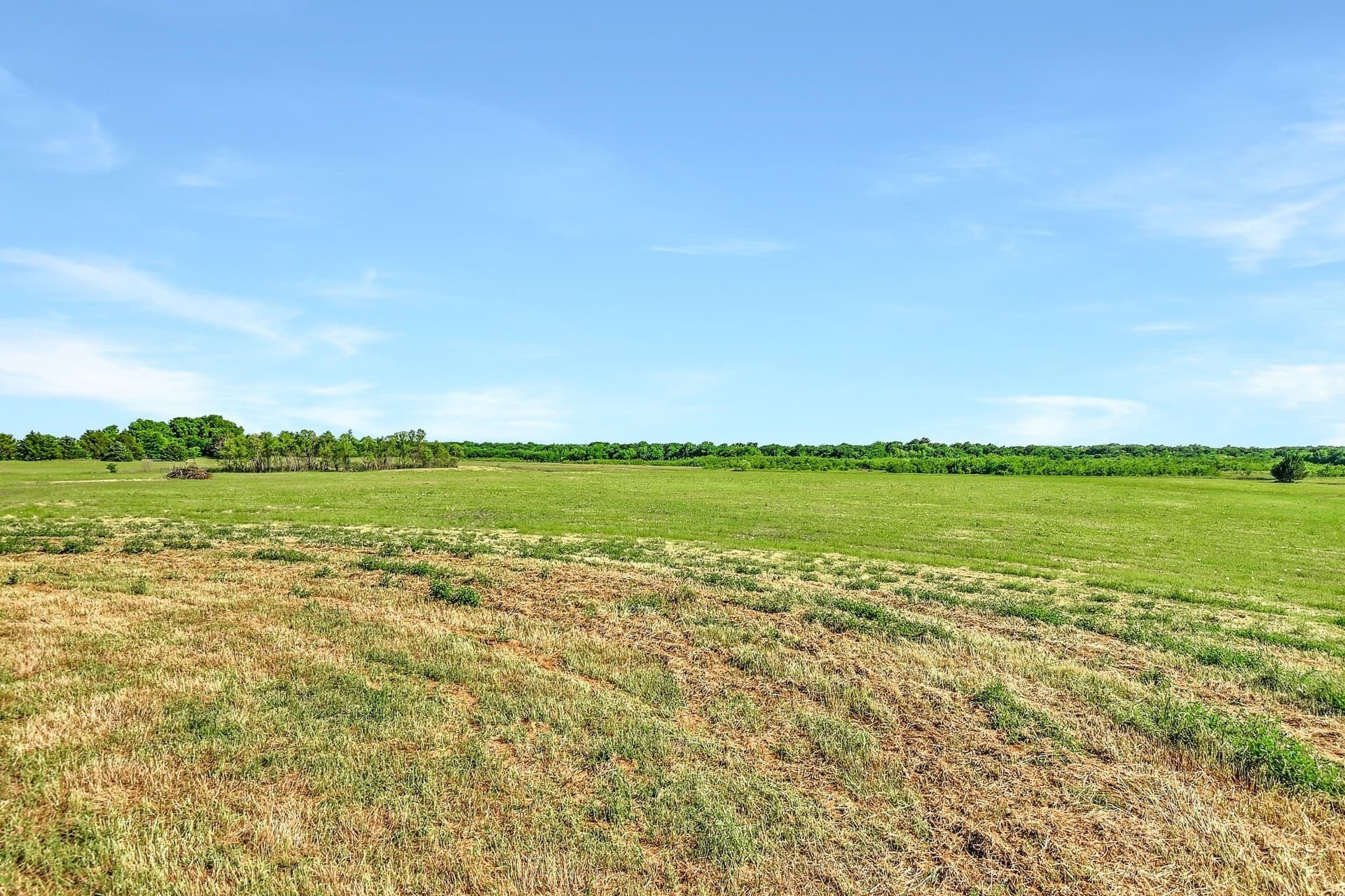 38.11 acres in Grayson County - photo 24