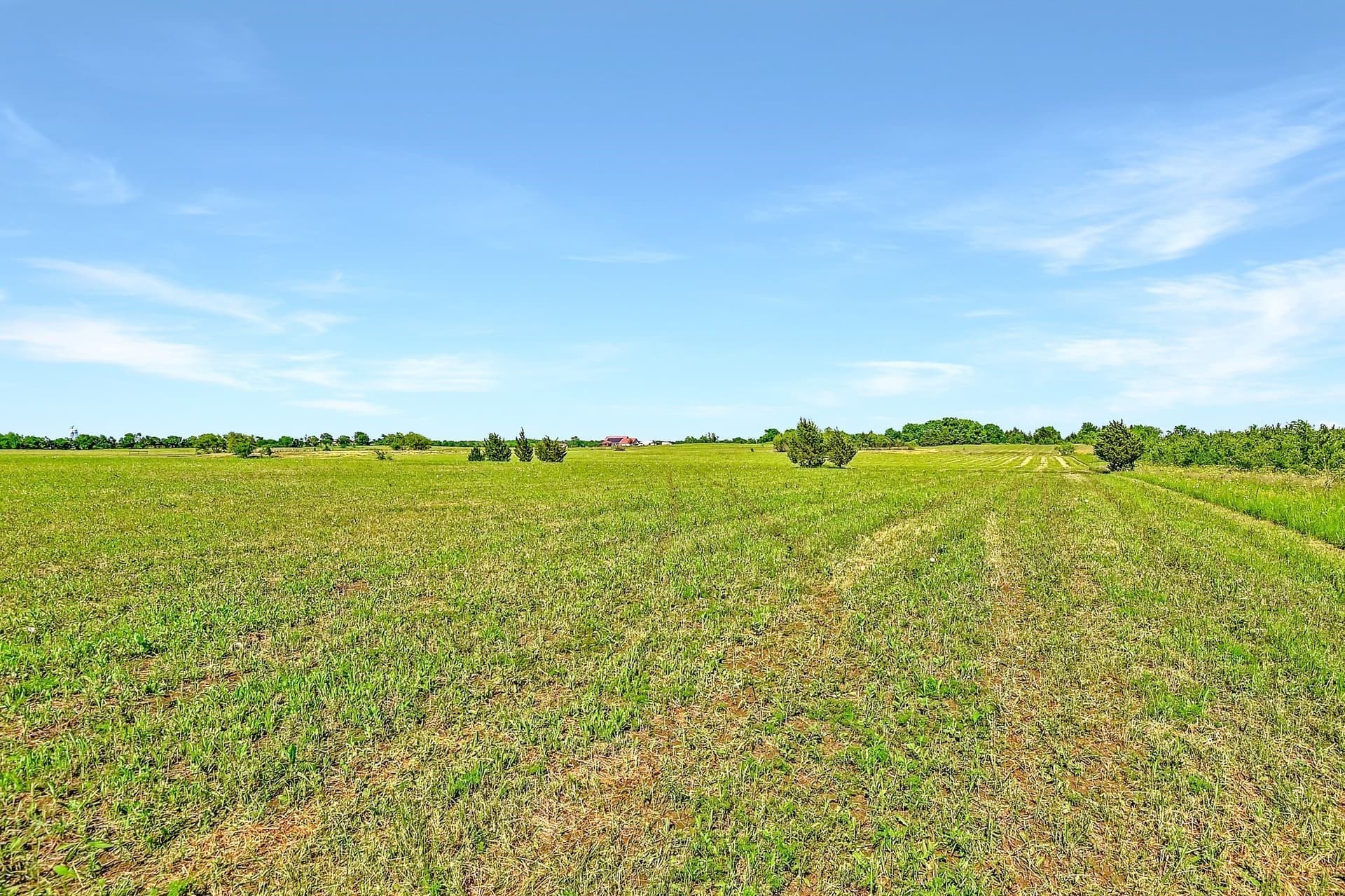 38.11 acres in Grayson County - photo 10