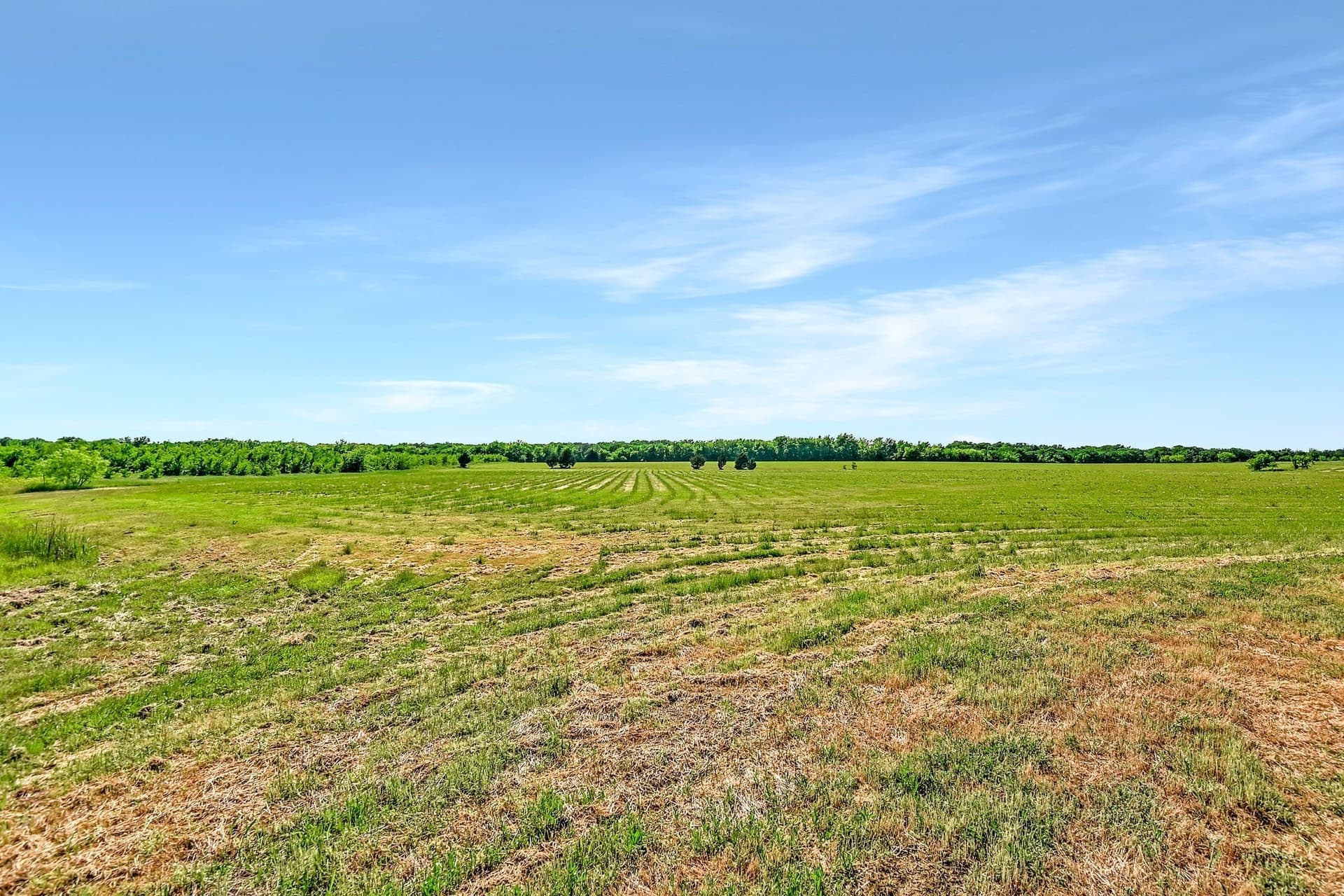 38.11 acres in Grayson County gallery image 4