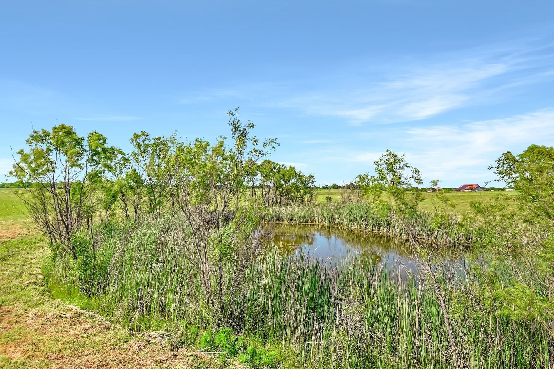 38.11 acres in Grayson County gallery image 3