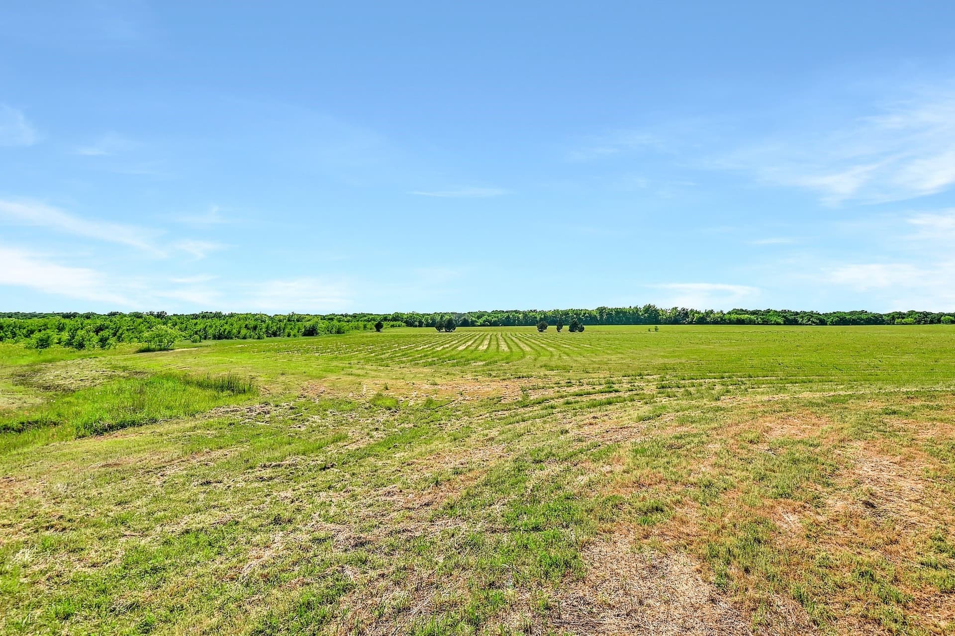 38.11 acres in Grayson County gallery image 2