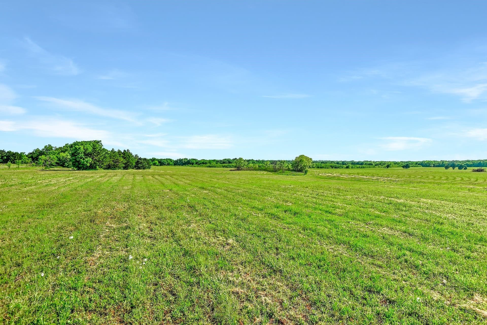 38.11 acres in Grayson County - photo 19